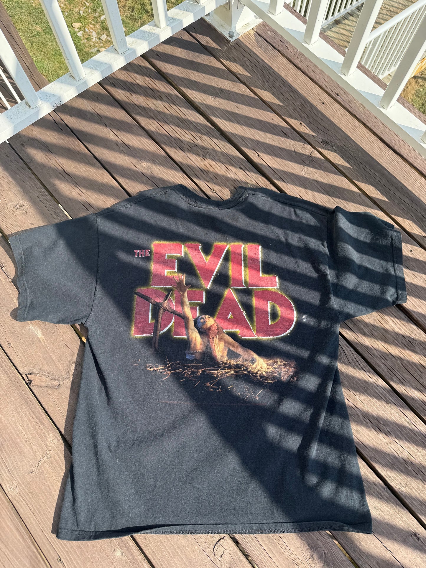 The Evil Dead 2001 Back Hit Slight Sun Fading on Front/ Pinholes (See Pics)